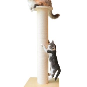 50" Tall Cat Scratching Post,  Extra-Large Cat Scratch Post for Biggest Cats (Maine Coon),  7.3" Thick Post,  36lbs Weight,  Solid Wood Base & Natural Sisal Rope