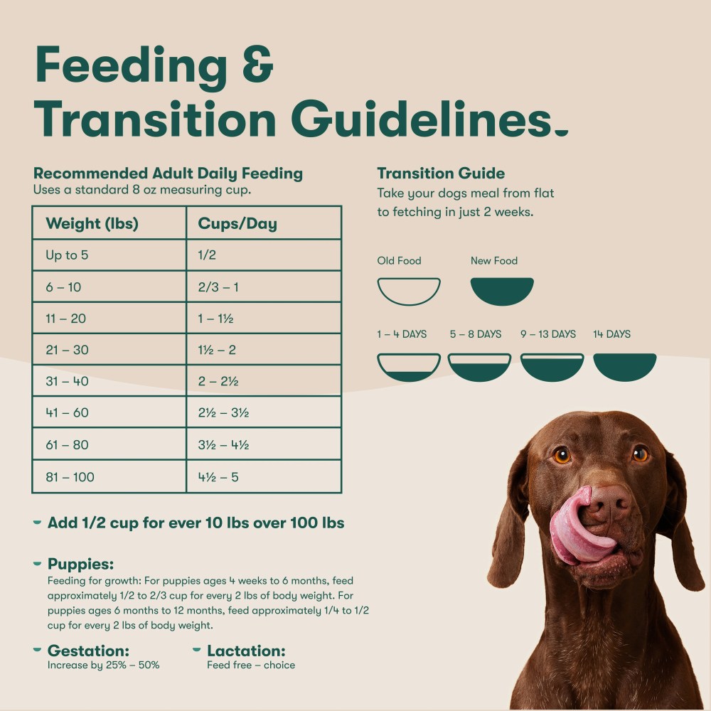 Jinx Salmon, Brown Rice, & Sweet Potato Dry Dog Food, 30lb. Bag - Image 9