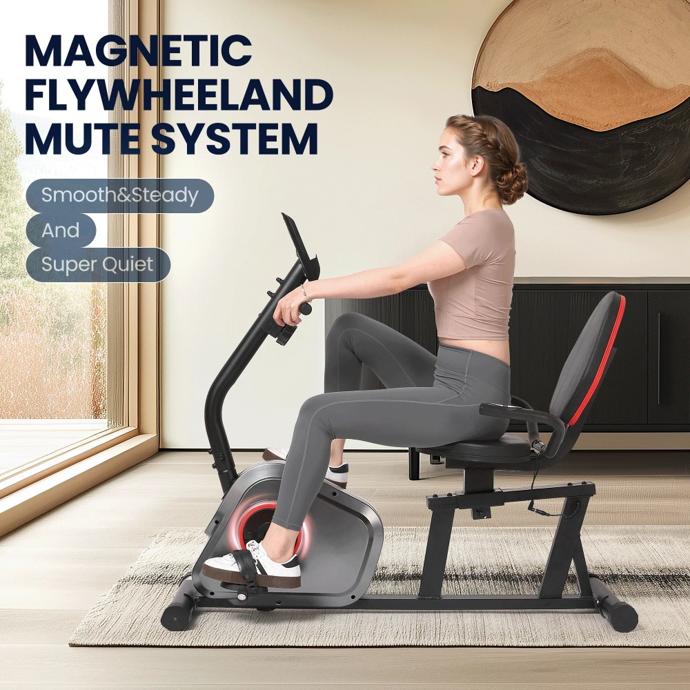 Naipo Recumbent Exercise Bike Stationary Bike 300LBS Weight Capacity Indoor Exercise Bike for Seniors with 8 Levels Magnetic Resistance with LCD Monitor Heart Rate Handle for Home - Image 6