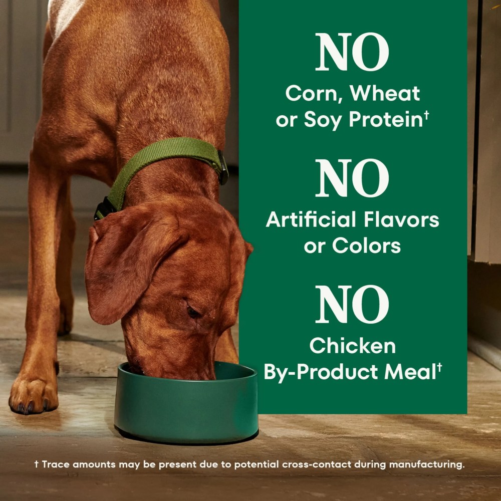 Nutro Natural Choice Adult Large Breed Dog Food Dry Recipe Lamb & Brown Rice, 30 Lb Bag - Image 7