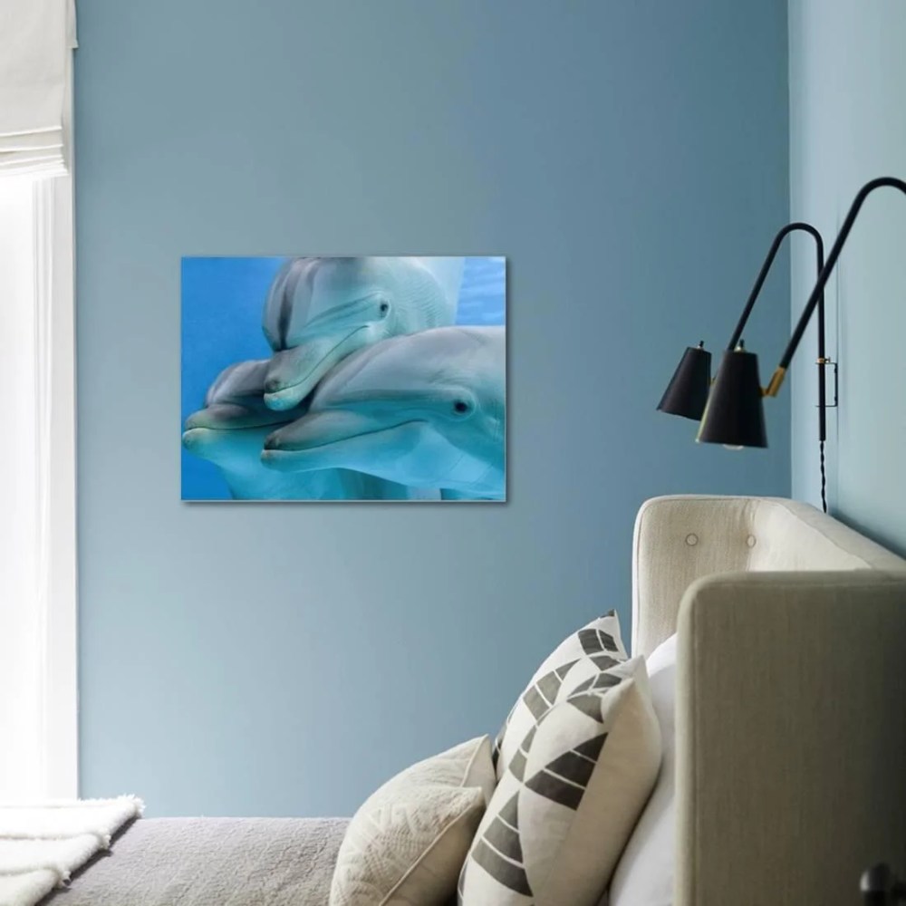 Bottlenose Dolphins, Three CloseUp of Heads Underwater, Animals Stretched Canvas Wall Art by Augusto Leandro Stanzani Sold by Art.Com - Image 2