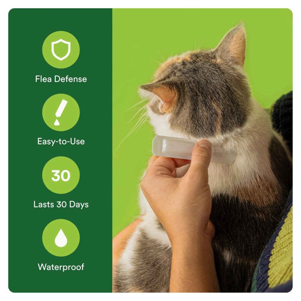 (3 pack) Advecta II Flea Treatment for Large Cat, 4 Monthly Treatments - Image 6