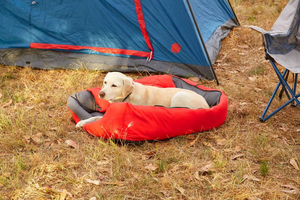 OmniCore Designs Pet Sleeping Bag (SM/Blue) with Zippered Cover for Travel, Camping, Backpacking, Hiking Good for Small and Large Pets Use as Pet Beds, Pet Mats or Pet Blanket - Image 19