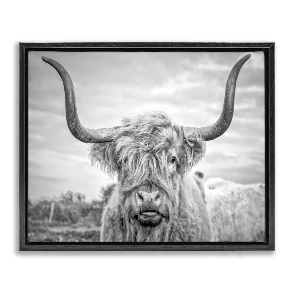 Stupell Industries Black and White Highland Cow Photograph Jet Black Framed Floating Canvas Wall Art, 1620, by Joe Reynolds