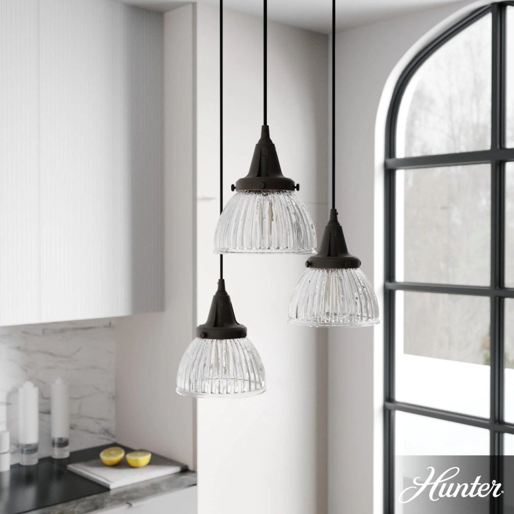 Hunter - Cypress Grove 3-light Onyx Bengal, Medium Size Cluster Light, Dimmable, Transitional Style, Round Shaped, for Bedrooms, Dining, Living Rooms - 19183