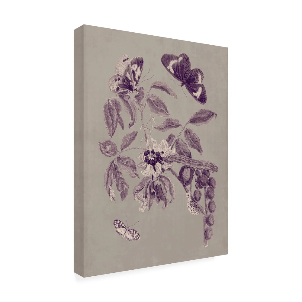 Trademark Fine Art 'Nature Study in Plum & Taupe II' Canvas Art by Maria S. Merian - Image 3