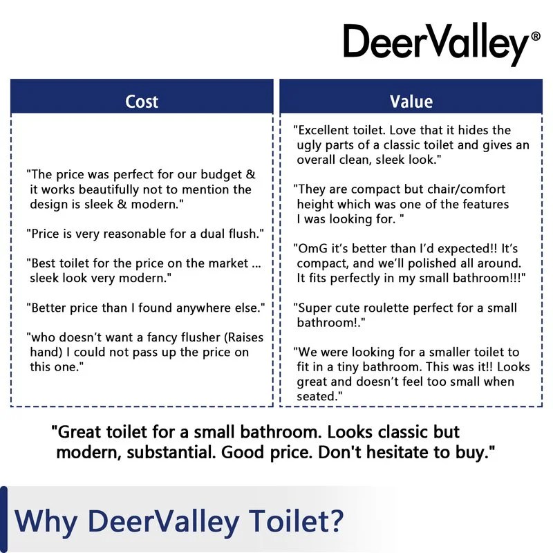 DeerValley Liberty DV-1F52812 Dual-Flush Elongated One-Piece Toilet (Seat Included) - Image 13