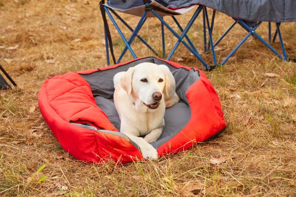 OmniCore Designs Pet Sleeping Bag (SM/Blue) with Zippered Cover for Travel, Camping, Backpacking, Hiking Good for Small and Large Pets Use as Pet Beds, Pet Mats or Pet Blanket - Image 9
