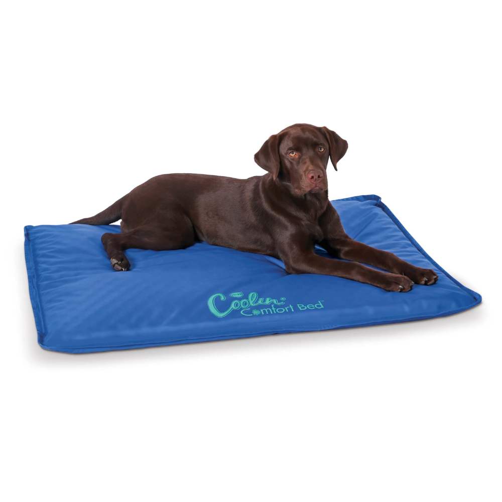 K&H Pet Products Coolin' Comfort Bed Blue Large 32 X 44 Inches