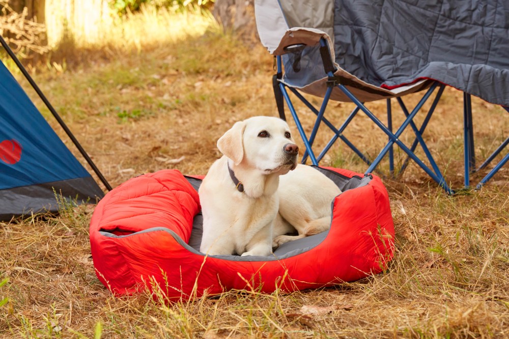 OmniCore Designs Pet Sleeping Bag (SM/Blue) with Zippered Cover for Travel, Camping, Backpacking, Hiking Good for Small and Large Pets Use as Pet Beds, Pet Mats or Pet Blanket - Image 20