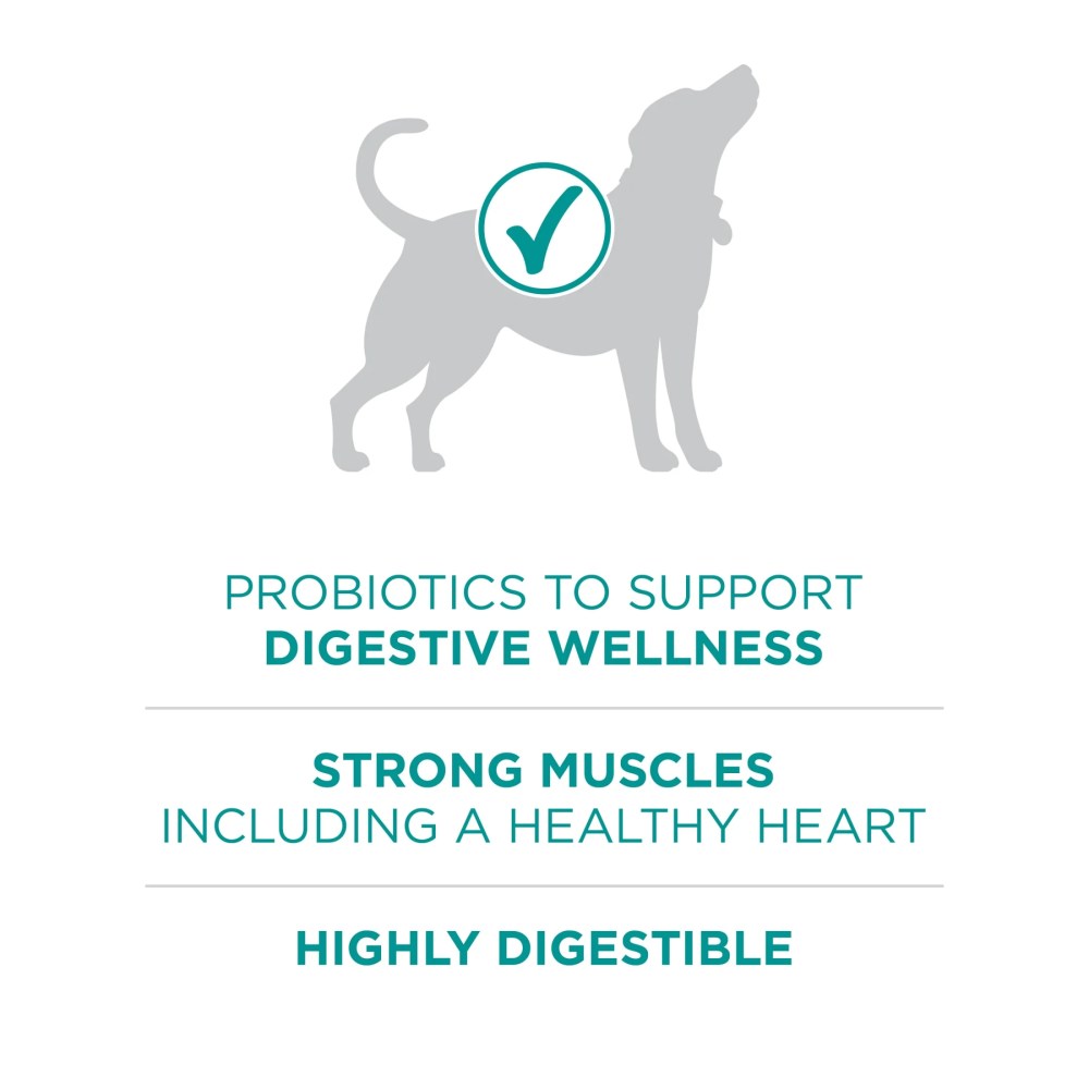 Purina One Plus Dry Dog Food for Adult Dogs, High Protein, Sensitive Stomach, Chicken, 31.1 lb Bag - Image 5