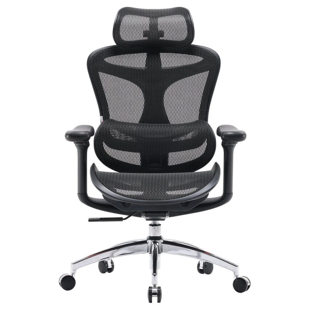 Sihoo Doro C300 Ergonomic Office Chair with Headrest,Lumbar Support,Adjustable Backrest,3D Armrests,Breathable Mesh,Height & Tilt Adjustment - Black