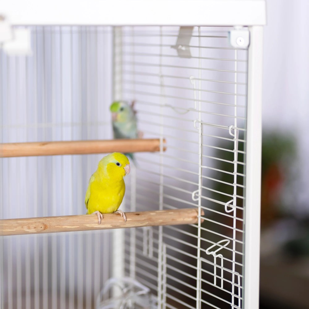 Prevue Pet Products Crystal Palace Luxe Bird Cage with Glass Doors, White Plastic Frame and Base - Image 3