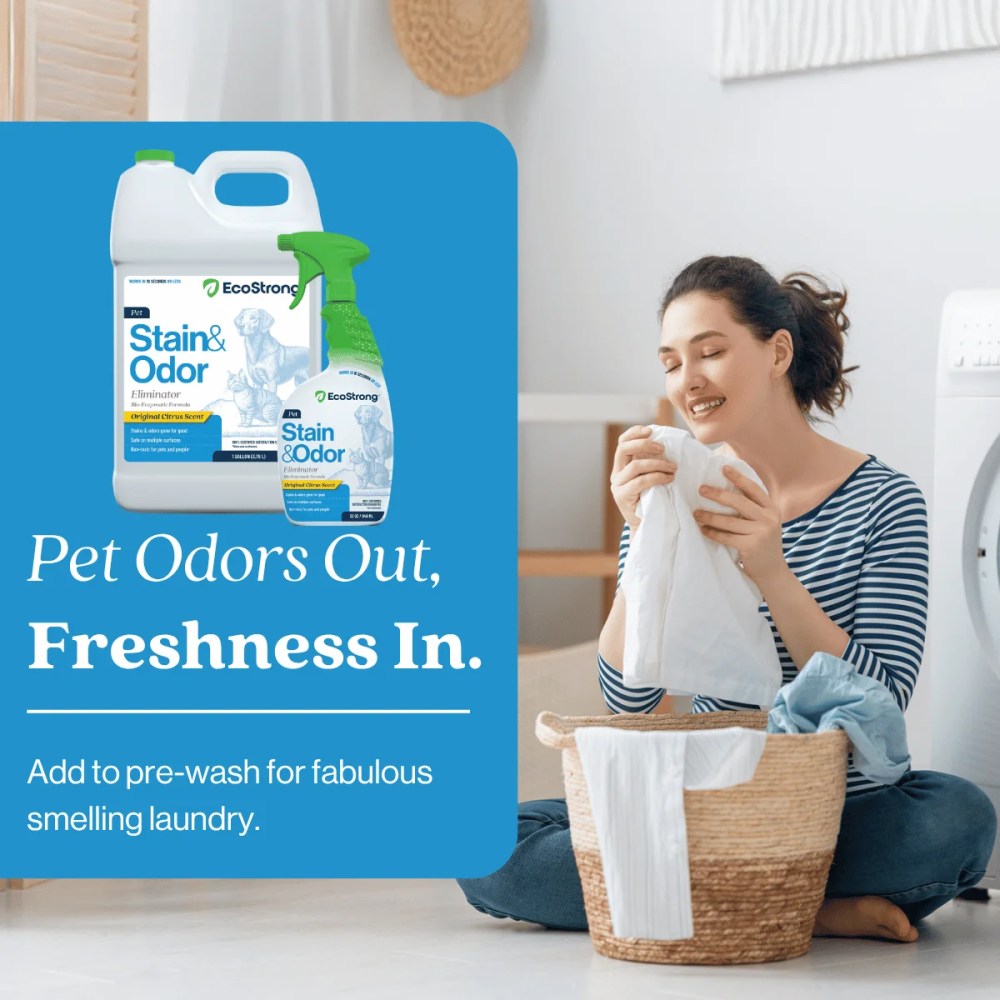 EcoStrong Enzymatic Pet Stain & Odor Remover for Cats & Dogs, 32 oz 1 Gallon Jug, Citrus Scent - Image 7