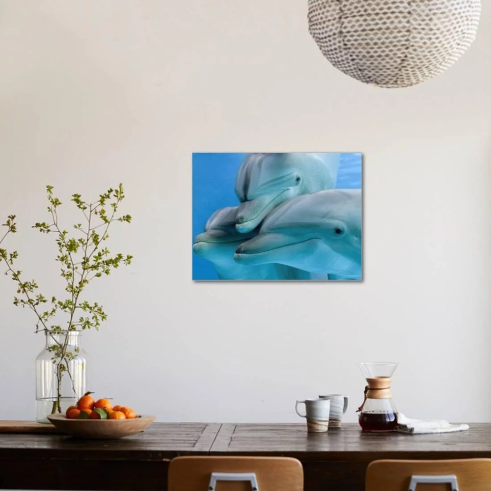 Bottlenose Dolphins, Three CloseUp of Heads Underwater, Animals Stretched Canvas Wall Art by Augusto Leandro Stanzani Sold by Art.Com - Image 4