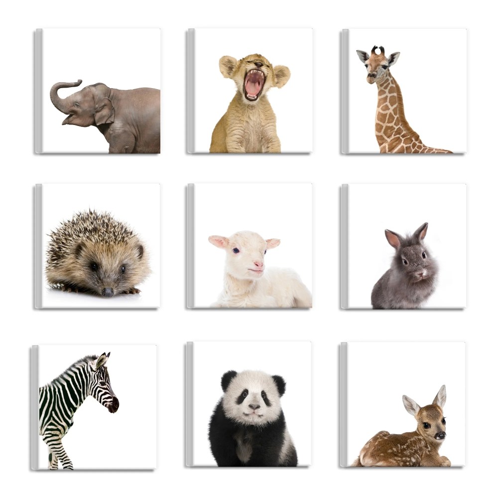 Stupell Baby Animal Portraits 9pc Multi Piece Canvas Wall Art Set