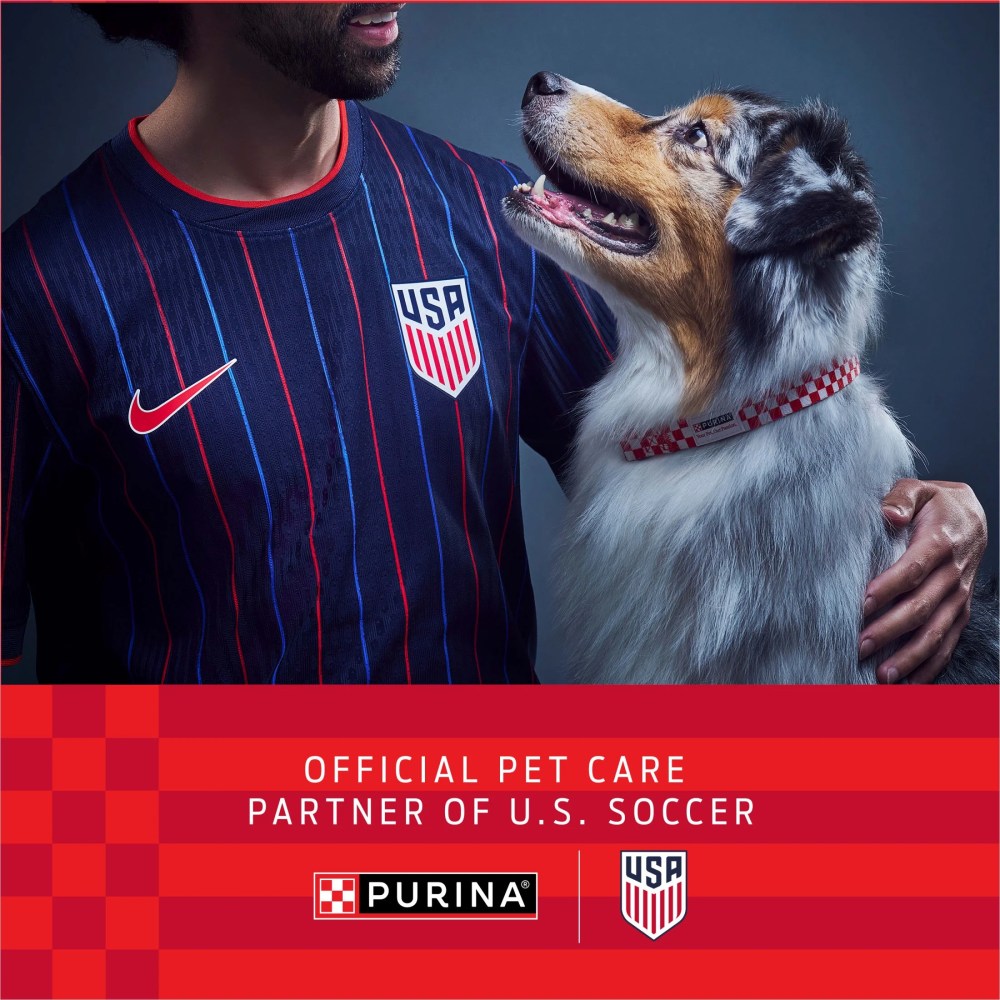 Purina One Plus Dry Dog Food for Adult Dogs, High Protein, Sensitive Stomach, Chicken, 31.1 lb Bag - Image 2