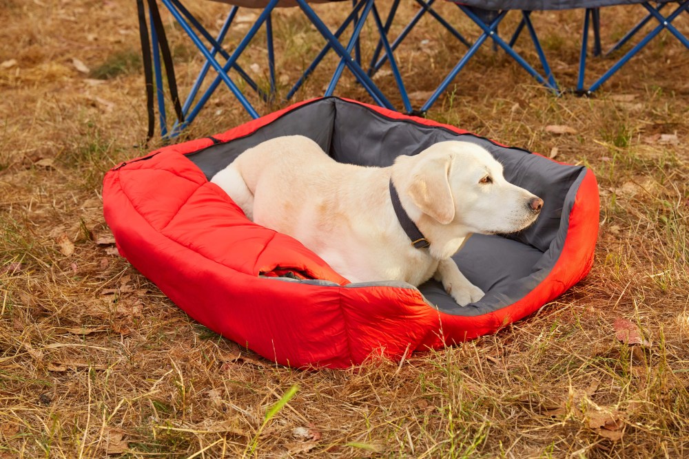 OmniCore Designs Pet Sleeping Bag (SM/Blue) with Zippered Cover for Travel, Camping, Backpacking, Hiking Good for Small and Large Pets Use as Pet Beds, Pet Mats or Pet Blanket - Image 21