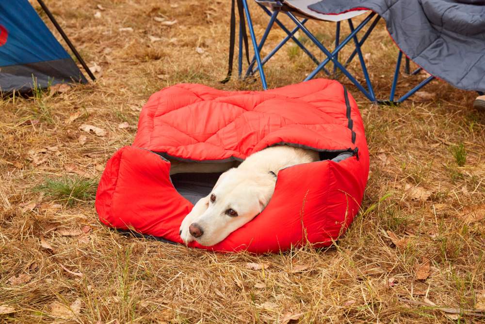OmniCore Designs Pet Sleeping Bag (SM/Blue) with Zippered Cover for Travel, Camping, Backpacking, Hiking Good for Small and Large Pets Use as Pet Beds, Pet Mats or Pet Blanket - Image 11