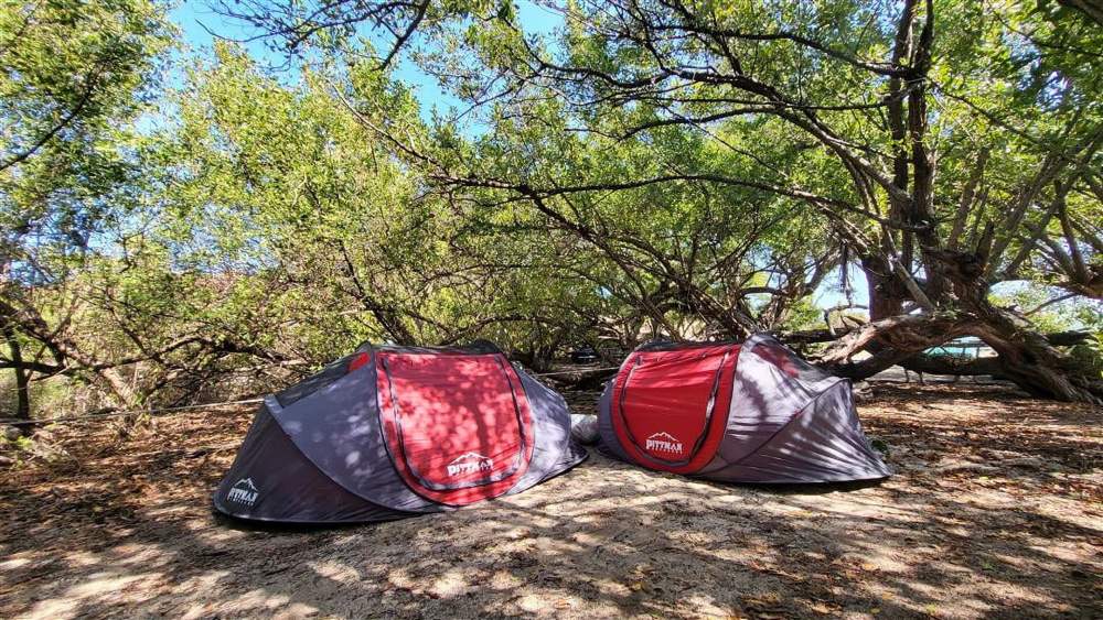 Pittman Outdoors 2 Person Instant Camp Tent, Auto Setup Pop Up Tent, Waterproof with Large Mesh Windows - Image 8