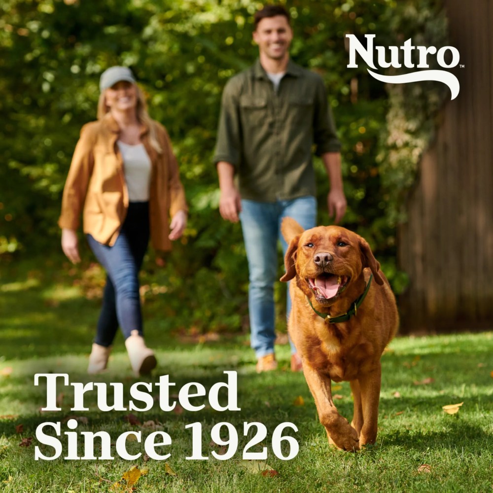 Nutro Natural Choice Adult Large Breed Dog Food Dry Recipe Lamb & Brown Rice, 30 Lb Bag - Image 9