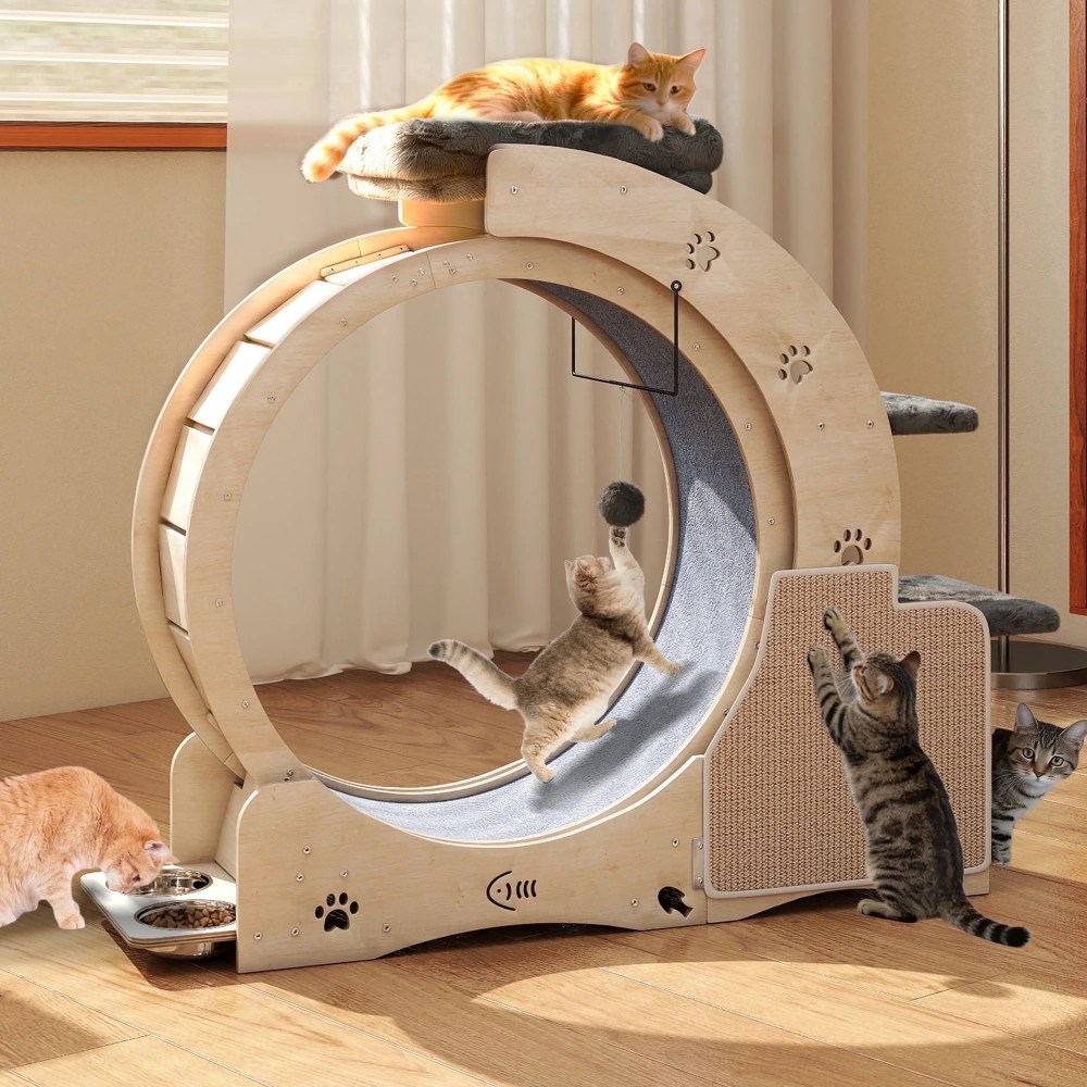 FOOWIN 7-in-1 Cat Exercise Wheel, 40" Cat Running Wheel for Indoor Cats