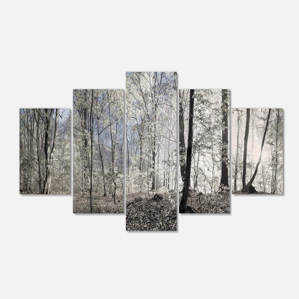 Designart 'Dark Morning in Forest Panorama ' Landscape Canvas Art Print
