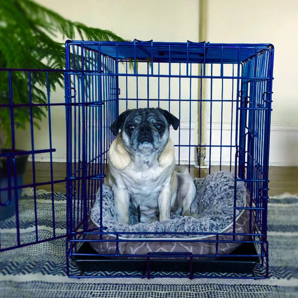 Pet Expressions Blue 24 Inch Colored Metal Wire Dog Crate - Available in Various Sizes and Colors - Image 5
