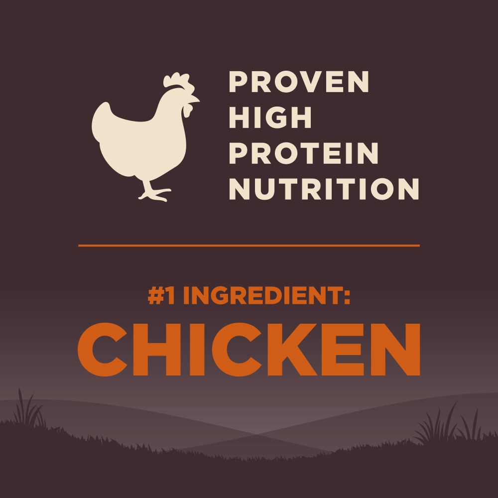 Wellness CORE Dry Dog Food, Large Breed, Grain Free, High Protein, Natural, Original Chicken & Turkey Recipe, (26-Pound Bag) - Image 4
