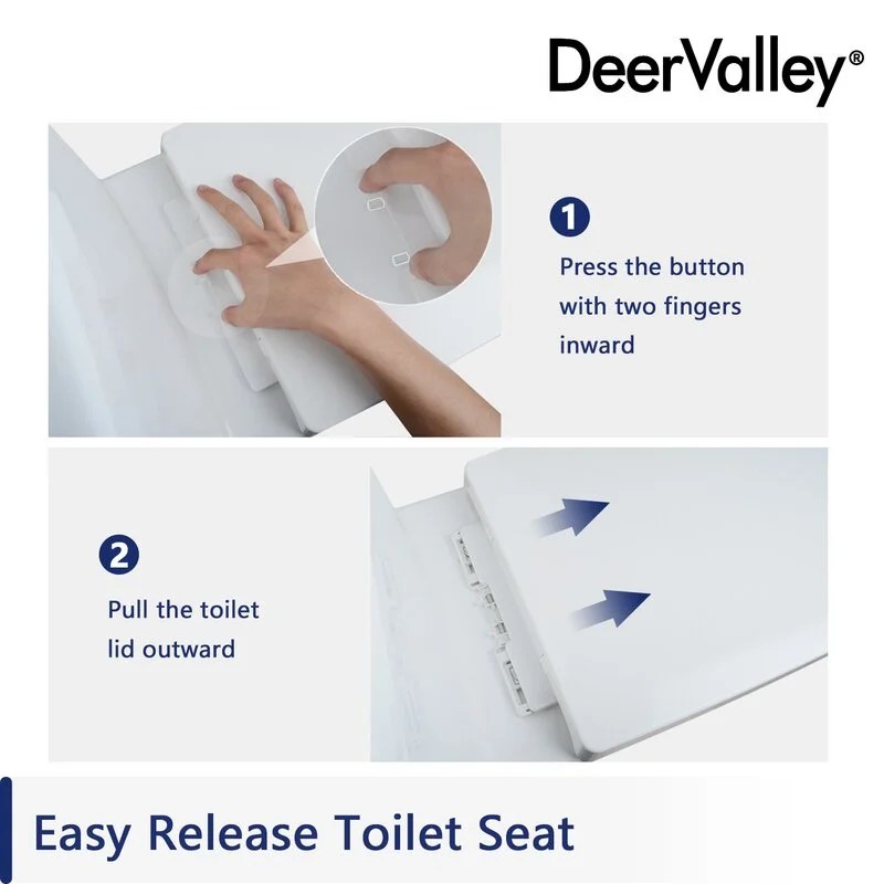 DeerValley Liberty DV-1F52812 Dual-Flush Elongated One-Piece Toilet (Seat Included) - Image 3