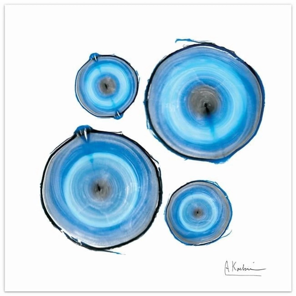 Empire Art Direct Mineral Rings II Frameless Free Floating Tempered Glass Panel Graphic Wall Art, 24" x 24" x 0.2", Ready to Hang