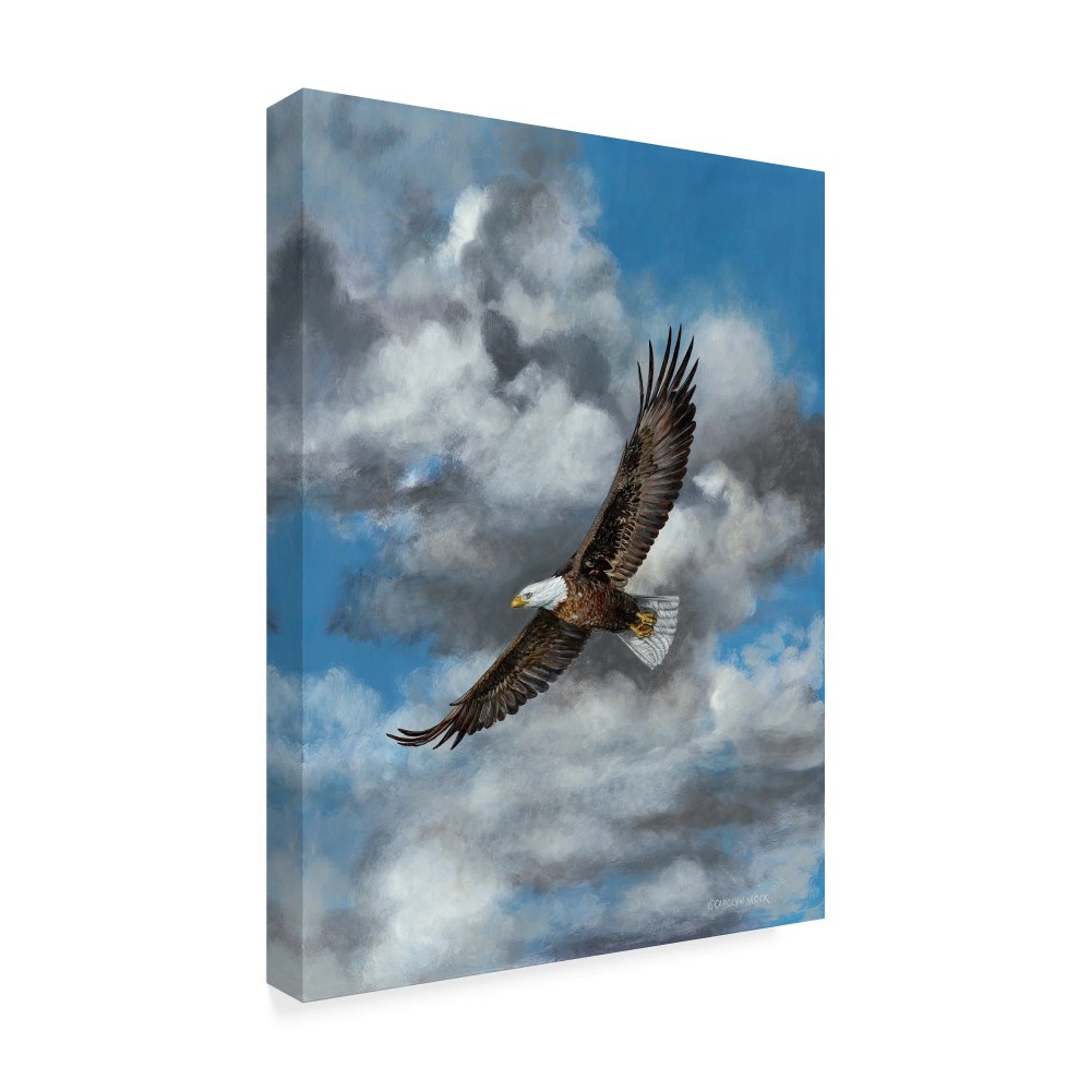 Trademark Fine Art 'The Soaring Eagle' Canvas Art by Carolyn Mock - Image 3