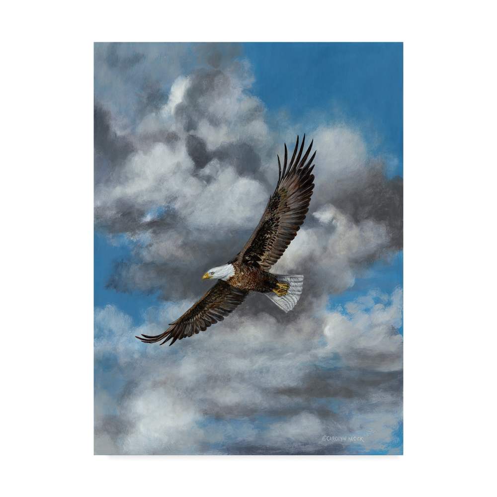 Trademark Fine Art 'The Soaring Eagle' Canvas Art by Carolyn Mock