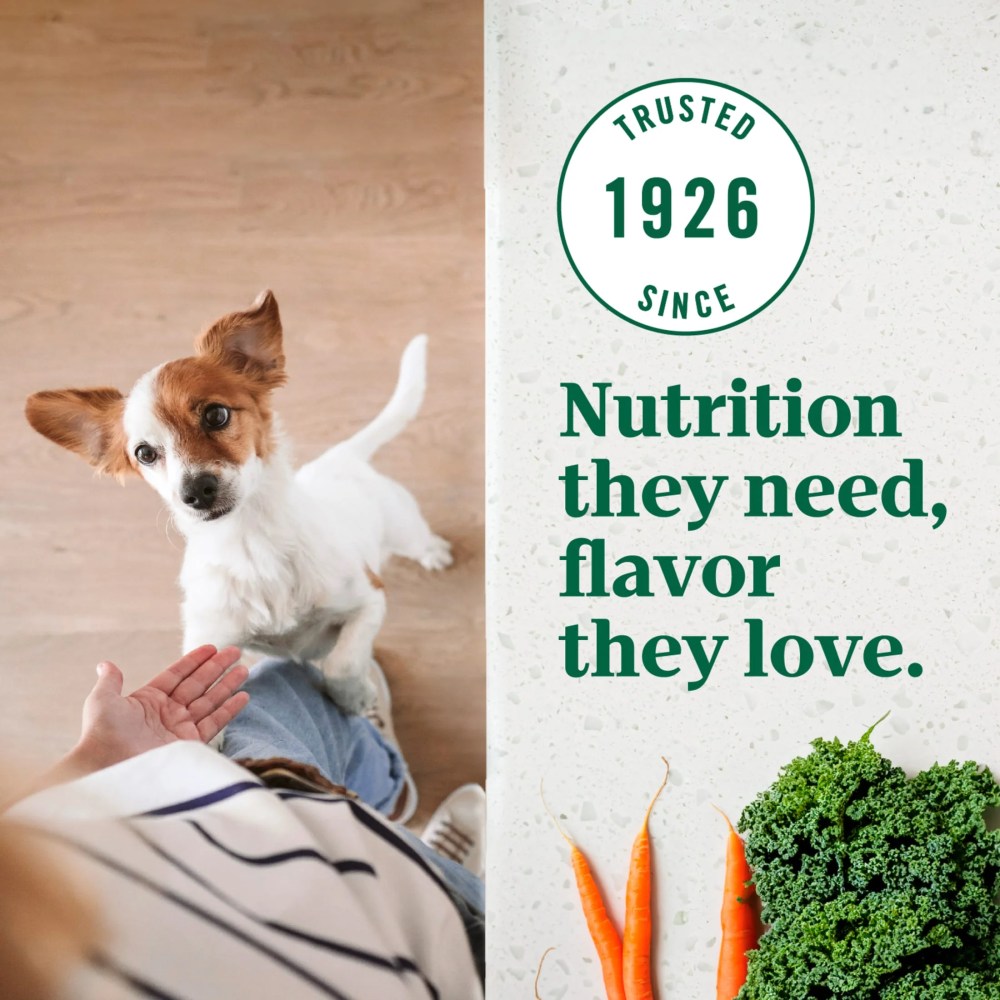 Nutro Ultra Adult Weight Management Small Breed Dry Dog Food, Chicken, Lamb and Salmon, 12 lb Bag - Image 7