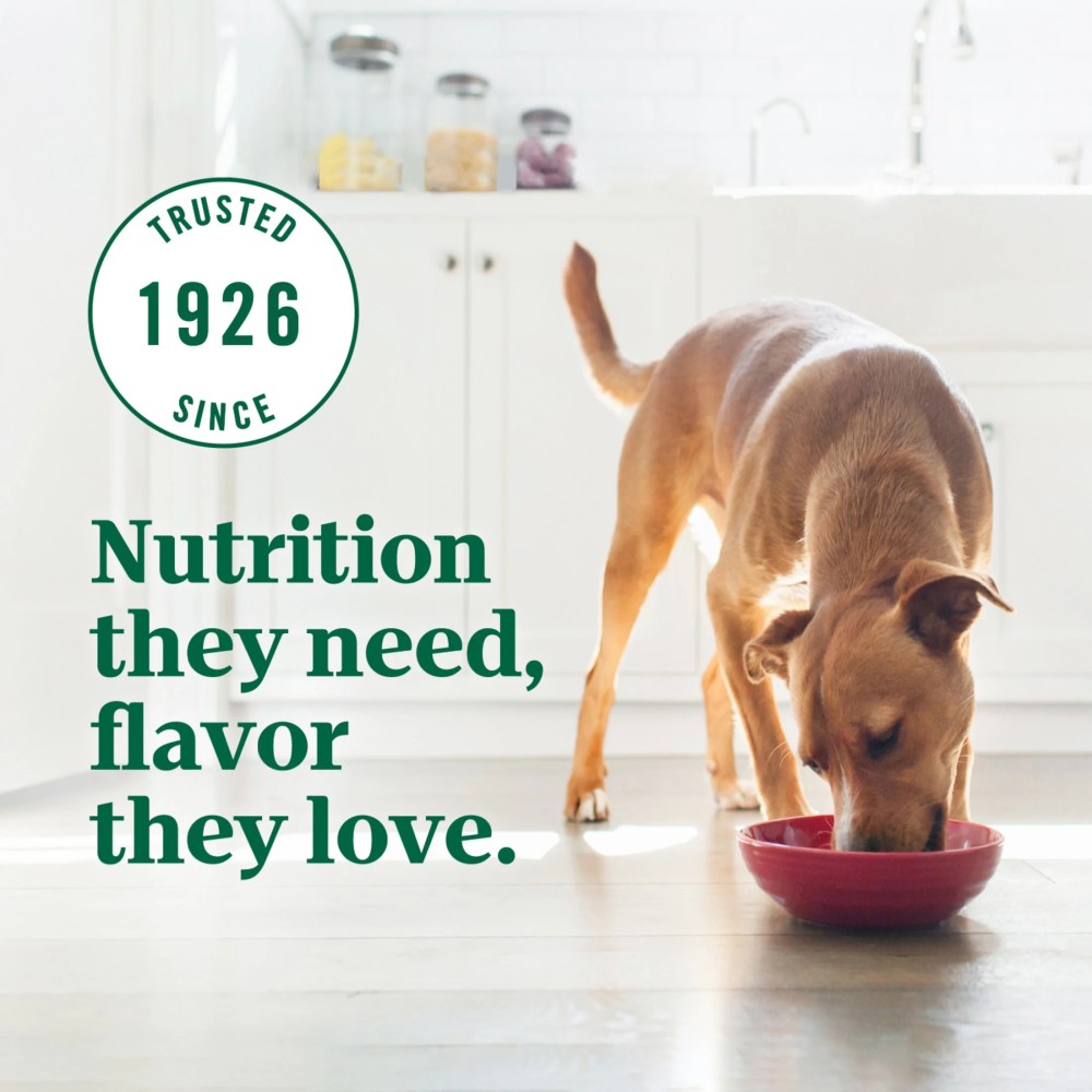 Nutro Ultra Adult Weight Management Dry Dog Food, Chicken, Lamb and Salmon Protein Trio, 30 lb Bag - Image 7
