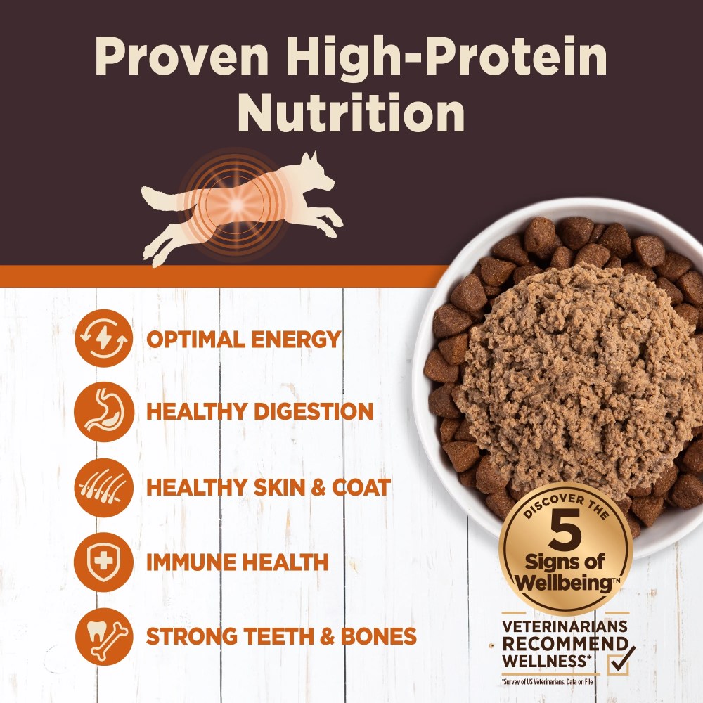 Wellness CORE Digestive Health Pate Adult Canned Wet Dog Food, Grain Free, Sensitive Stomach, Natural, Chicken Recipe, 13 oz, Pack of 12 Cans - Image 4