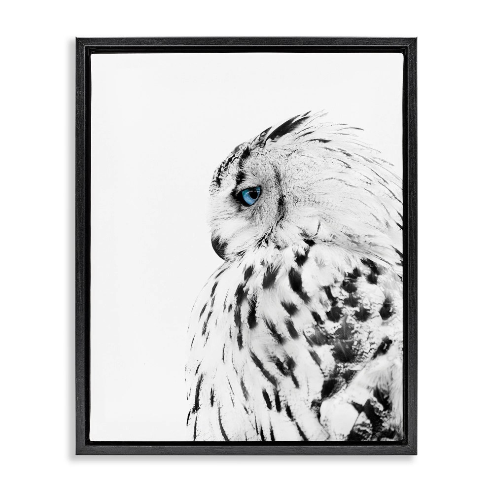 Stupell Industries Snow Owl White Feathers Peering Blue Eyes Jet Black Framed Floating Canvas Wall Art, 1620, by Design Fabrikken
