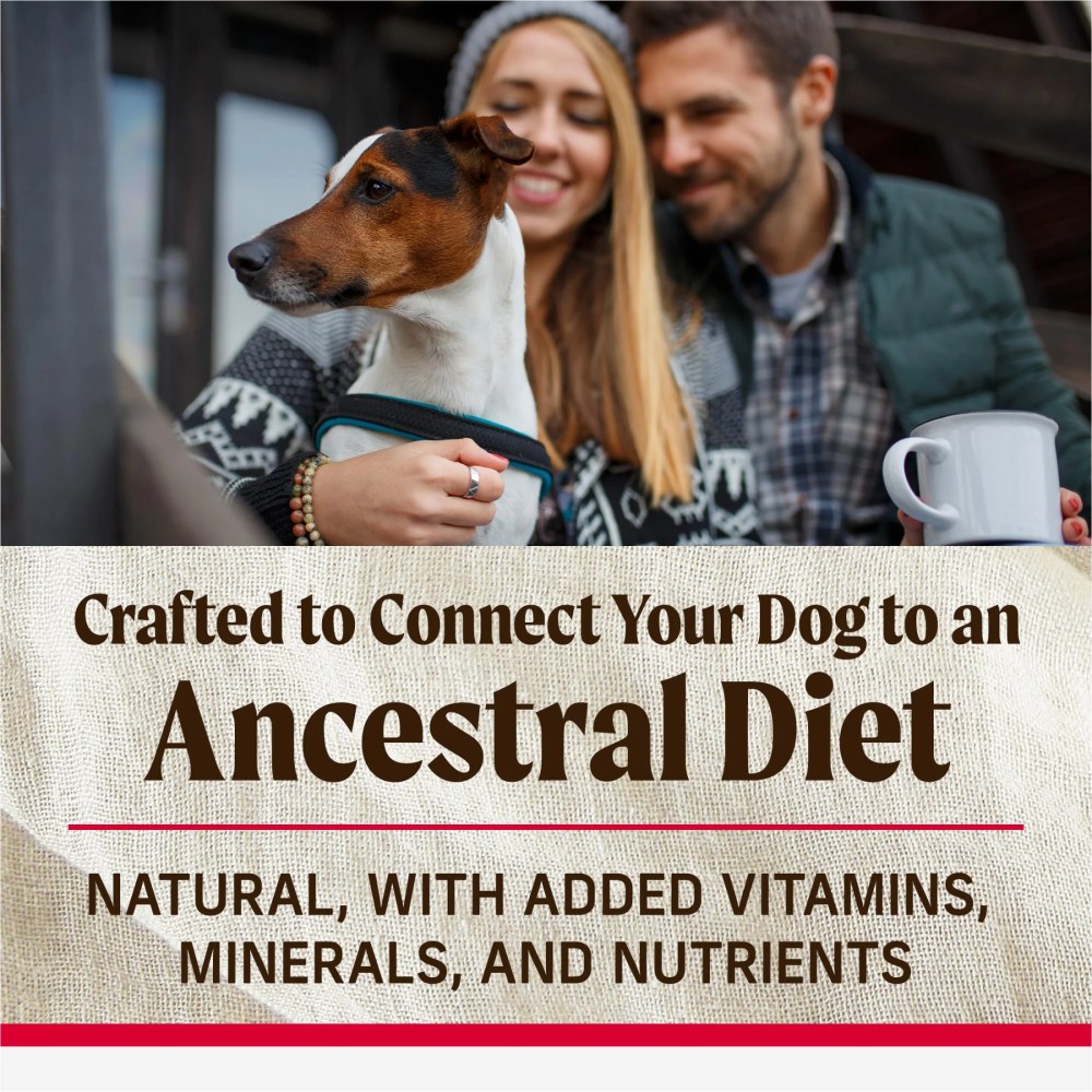 Merrick Backcountry Healthy Grains Kibble With Freeze Dried Raw Pieces, Great Plains Red Meat Recipe Dog Food, 20.0 lb. Bag - Image 4