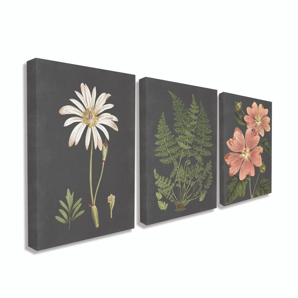 Stupell Industries Botanical Flowers Chalkboard Illustrations Canvas Wall Art by Lettered and Lined