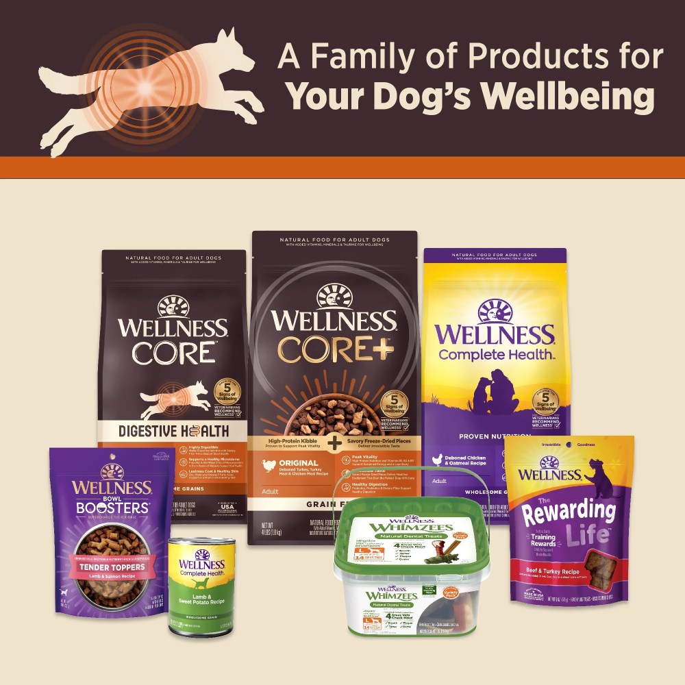 Wellness CORE Digestive Health Pate Adult Canned Wet Dog Food, Grain Free, Sensitive Stomach, Natural, Chicken Recipe, 13 oz, Pack of 12 Cans - Image 3