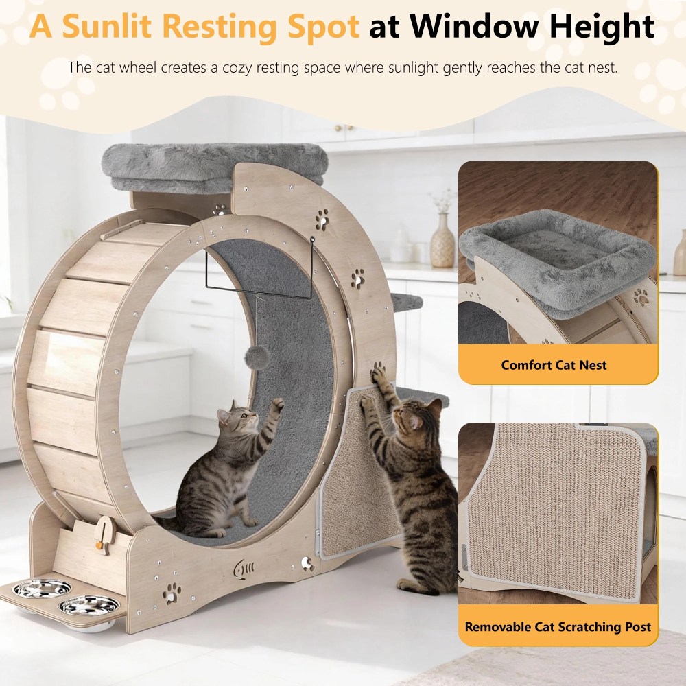 FOOWIN 7-in-1 Cat Exercise Wheel, 40" Cat Running Wheel for Indoor Cats - Image 7