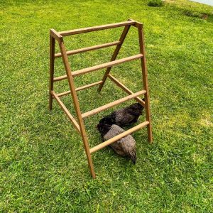 Zylina Play-N-Roost Roosting Ladder